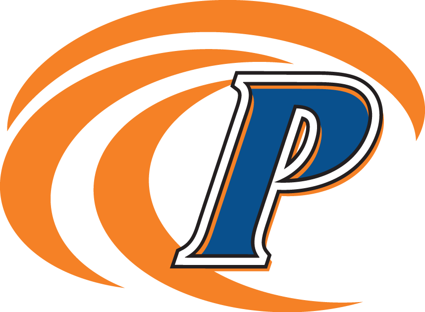 Pepperdine Waves 2004-2010 Secondary Logo diy iron on heat transfer